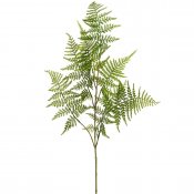 Grön sparris-kvist 80 cm