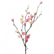 Kvist med rosa blommor - 50 cm