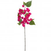 Bougainville kvist med blommor i cerise - 60 cm