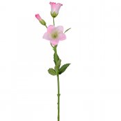 Rosa campanula konstblomma - 50 cm hög