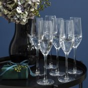 Champagneglas hermitage från cleo home - 6st i gåvokartong 16 cl