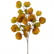 Grön gul och ocra eucalyptus stora blad på kvist - 65 cm