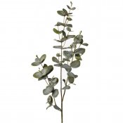 Eucalyptus kvist grön - Konstblomma 70 cm