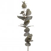 Kvist eucalyptus gröna löv - 40 cm