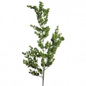 Konstväxt eucalyptus kvist med gröna blad - 95 cm
