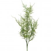 Konstväxt kvist plumosus fjädersparris grön - 70 cm