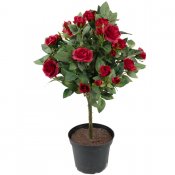 Röd stamros, konstväxt med röda rosor -  45 cm hög