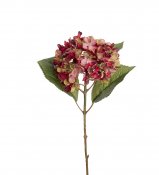 Röd hortensia på kvist med gröna blad - 40 cm hög