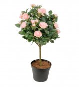 Rosa, ljusrosa stamros, konstväxt med rosa rosor - 45 cm hög