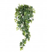 Konstväxt murgröna mörkt grön hängande i plastkruka - 85 cm hög