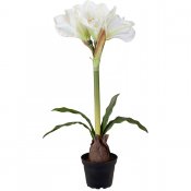 Vit amaryllis konstgjord - 50 cm hög från Mr Plant