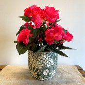 Kruka Spring Lauvring - Vit Grön - Ø14xH13cm
