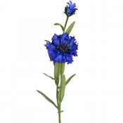 Blåklint 58 cm hög - Konstblomma, konstväxt