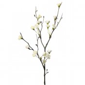 Kvist med vita blommor - 50 cm