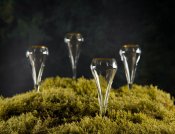 Champagneglas Open Up Gold - 4-Pack - Klar