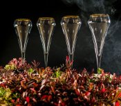 Champagneglas Open Up Gold - 4-Pack - Klar