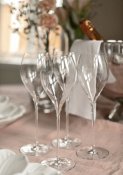 Champagneglas 2-Pack Elegance 29cl - Kristall - Stiernholm