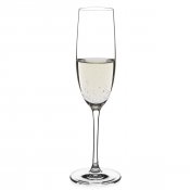 Champagneglas Sontell 6-Pack - Modern House 18cl