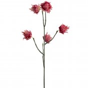 Kvist med rosa, gammelsrosa eternell blommor - 55 cm