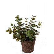 Liten konstgjord eukalyptus med gröna blad - Mr Plant 14 cm