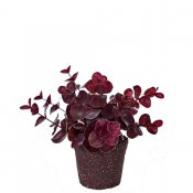 Liten konstgjord eukalyptus med mörkt lila, vinröda blad - Mr Plant 14 cm