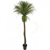 Flasklilja Konstgjort träd 220 cm - mr plant
