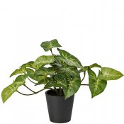 Liten konstgjord gåsfot med gröna blad - Mr Plant 20 cm