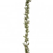 Grön Gran-girlang med småkottar - 140 cm lång