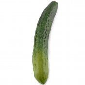 Konstgjord gurka, plastgurka i grönt - ca 24 cm lång