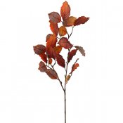 Höstlöv kvist med bok-löv i mörk orange, vinröd och ocra - 70cm hög från mr Plant