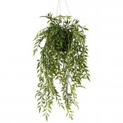 Konstväxt hoya grön hängande i plastkruka - 47 cm hög