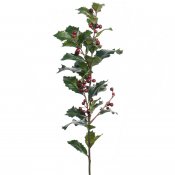 Kvist med Järnek och mörkt röda bär - 75 cm