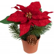 Liten röd julstjärna med grankotte och grankvist - 15 cm