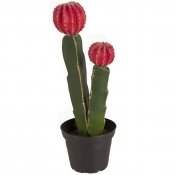 Konstgjord kaktus med röd topp  23 cm hög