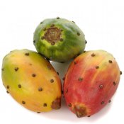 Kaktusfrukt, konstgjorda i plast - Röda, gula och gröna