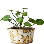 Kruka Lemona Bred M - Vit Grön Gul - Ø20cm