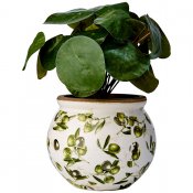 Kruka Olive Antik - Vit Grön - Ø17xH14cm