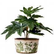 Kruka Victoria Bred S - Vit Grön - Ø17cm