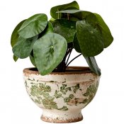 Kruka Victoria Pokal S - Vit Grön - Ø17cm