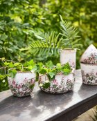 Kruka Spring Antik - Grön Rosa - Ø14xH14cm