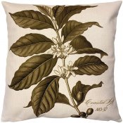 Naturfärgat kuddfodral med kaffepanta i olivgrönt - 50x50 cm