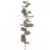 Kvist med eukalyptus - grön 40 cm