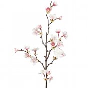 Körbärsblom kvist med rosa blommor - 60 cm