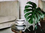 Assiett S - Magnor Voyage - 15cm