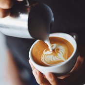 Mjölktillbringare Basis Blank - 600 ml