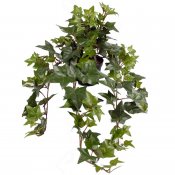 Konstväxt murgröna mörkt grön hängande i plastkruka - 60 cm hög