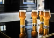 Ölglas 4-Pack - Zwiesel Basic Craft - IPA H18cm