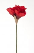 Plastblomma, konstväxt Amaryllis röd blomma