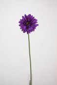 Plastblomma gerbera i mörk lila - 60 cm