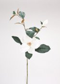 Konstblomma Magnolia Vit med gröna kvistar och blad